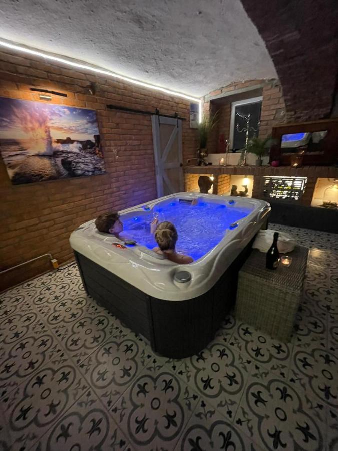 Apartmany U Kaplicky Kamyk nad Vltavou Екстериор снимка