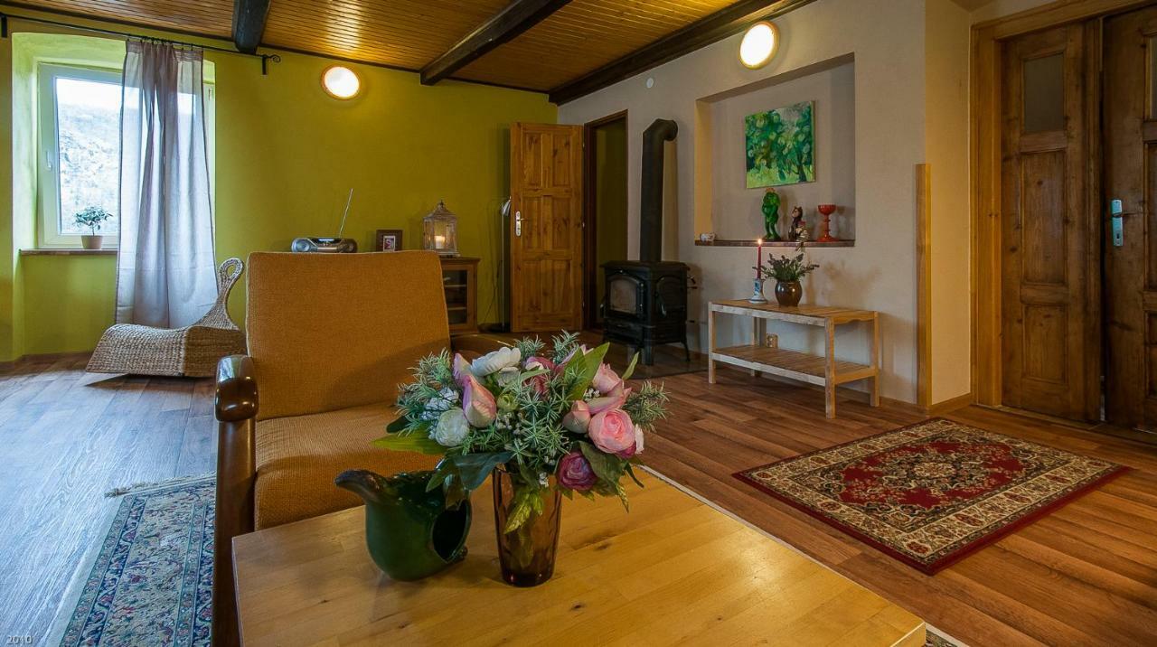 Apartmany U Kaplicky Kamyk nad Vltavou Екстериор снимка